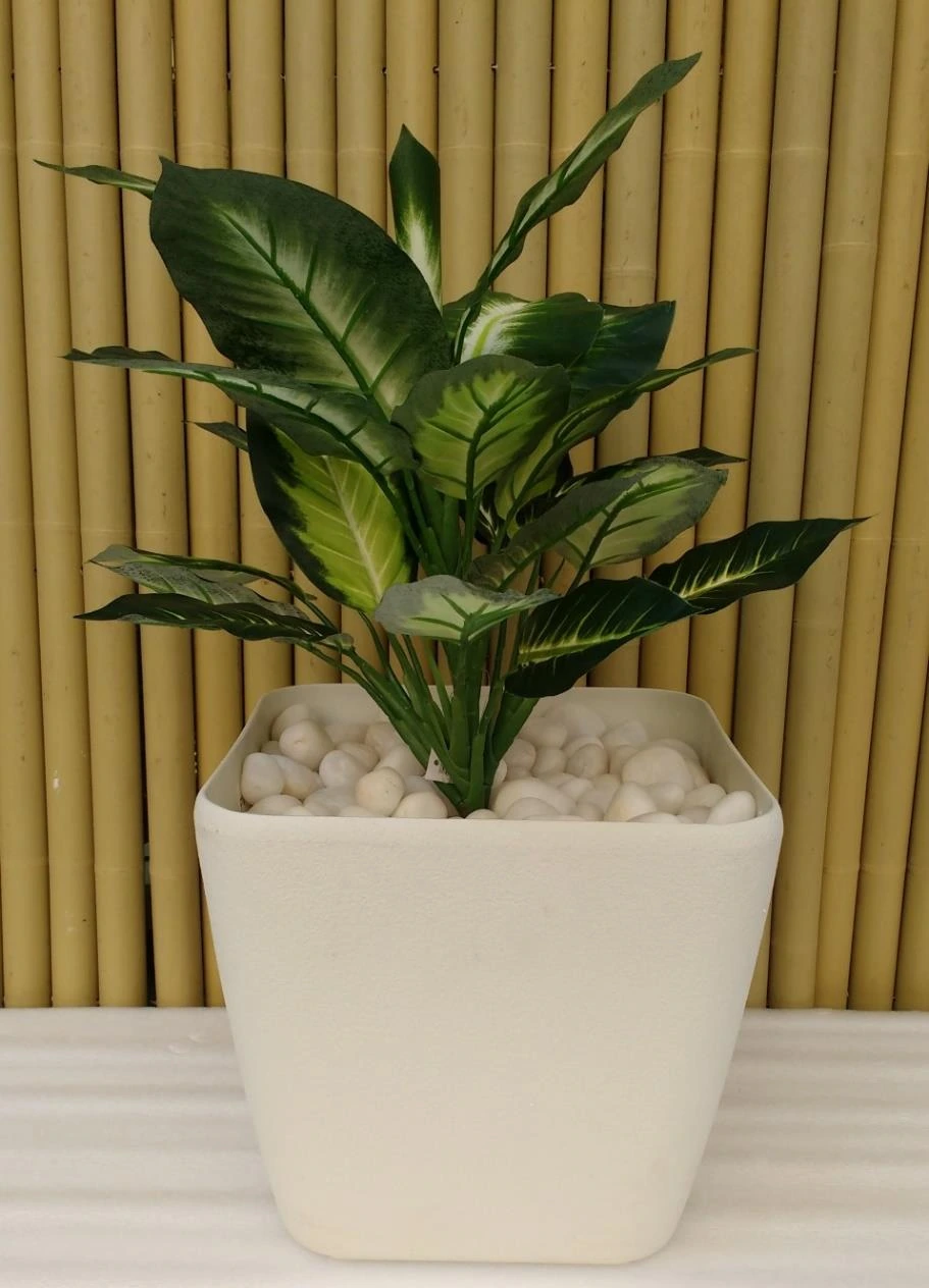 Pattaya beauty-40cm